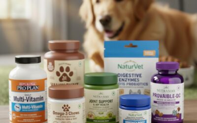 Dog Vitamins – Why They’re Gaining Popularity Among Modern Pet Parents