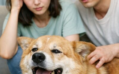 7 Subtle Signs Your Pet Needs a Vet Visit