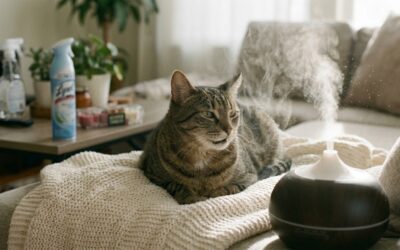 Hidden Indoor Air Hazards for Pets with Chronic Respiratory Issues