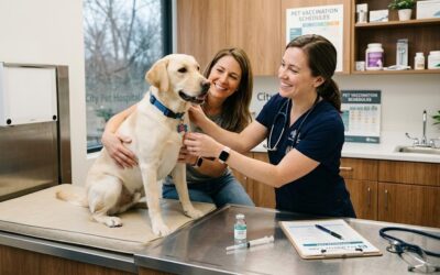 Ultimate Guide to Preventive Care for Your Pet