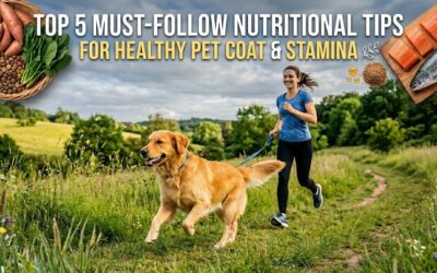 Top 5 Must-Follow Nutritional Tips for Healthy Pet Coat and Stamina